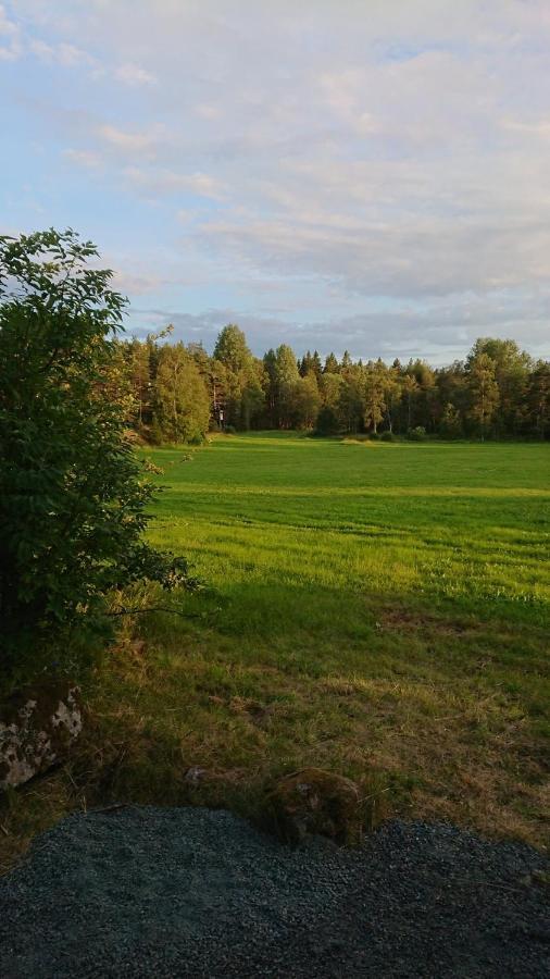 Liten Enklare Klimatsmart Stuga I Roslagen Hotel Osthammar Exterior photo